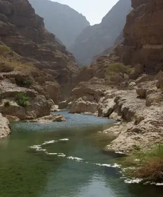 Wandere durch das Wadi Tiwi